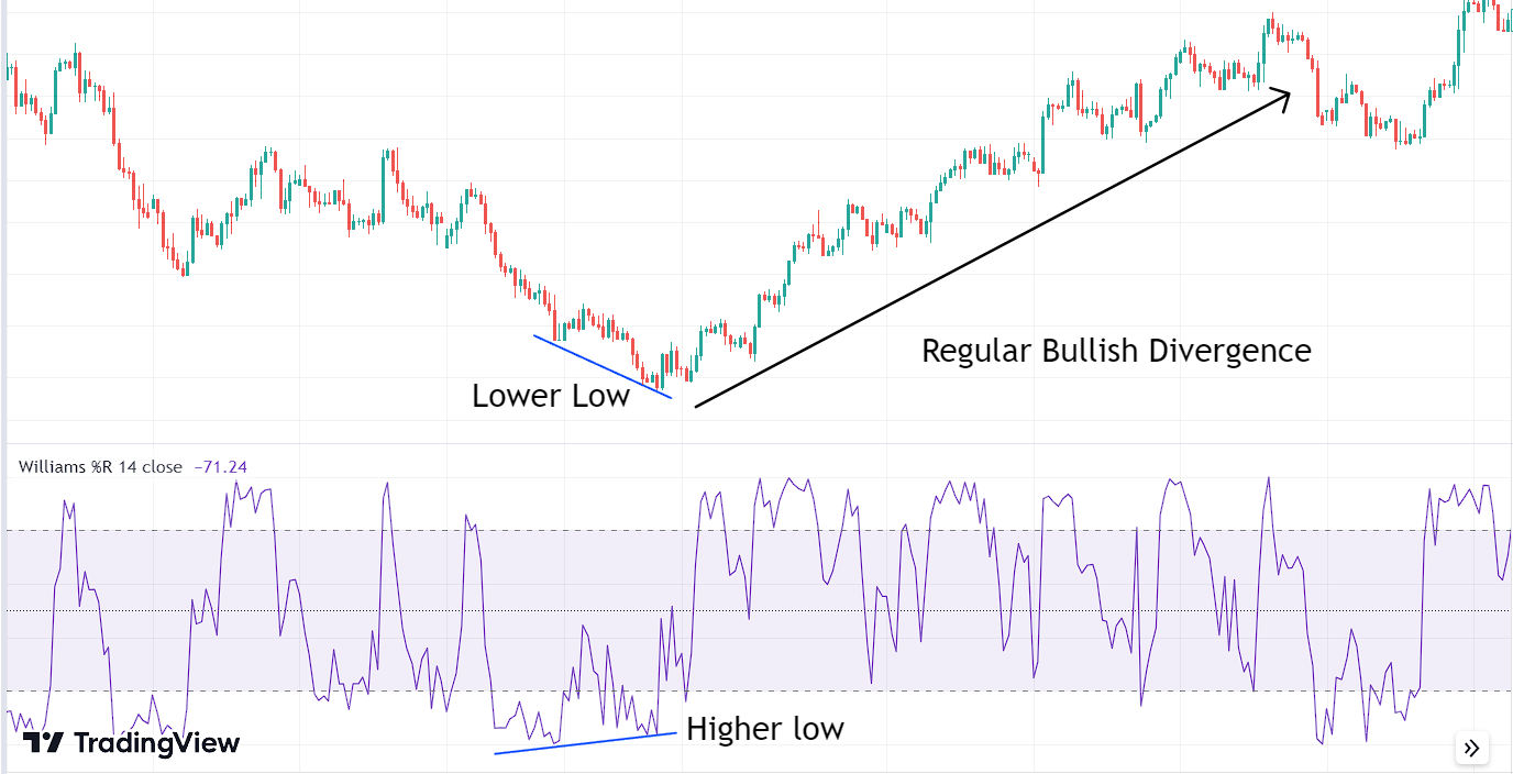 Bullish Divergence Williams %R indicator